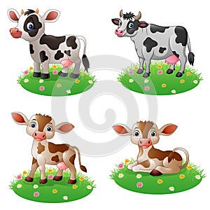 Cartoon cow standing on grass collections set