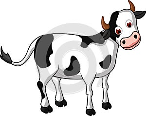 Cartoon Cow for you design