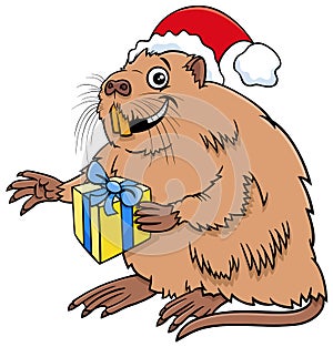 Cartoon coypu animal character with gift on Christmas time