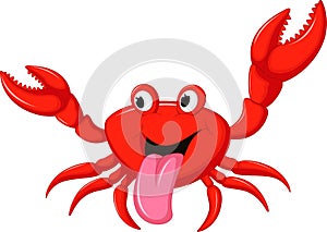 Cartoon crab for you design