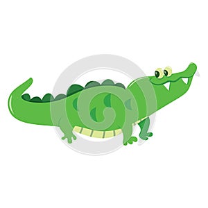 Cartoon Crocodile