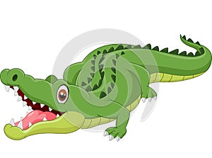 Cartoon crocodile photo