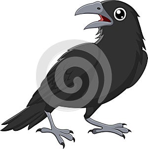 Cartoon crow isolated on white background