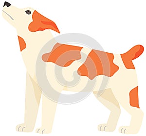 Cartoon curious dog vector illustration of cute purebred pet white with red spots isolated animal
