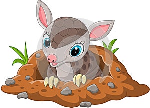 Cartoon cute baby armadillo out of a hole