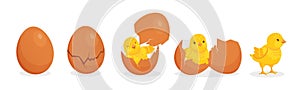 Cartoon cute baby chicken hatch from egg stages. Cracked eggshell and newborn yellow chick. Easter farm bird character birth