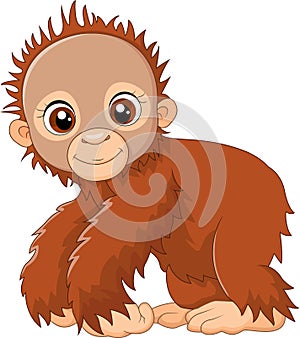 Cartoon cute a baby monkey