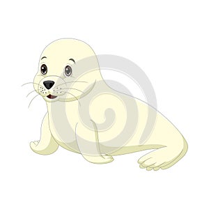 Cartoon cute baby seal on white background