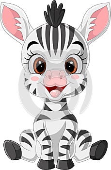 Cartoon cute baby zebra sitting