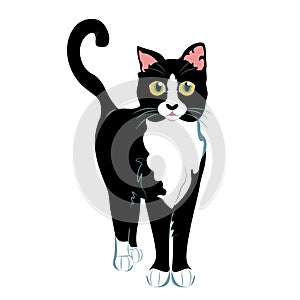 Cartoon Cute Black And White Cat Illustration Isolated