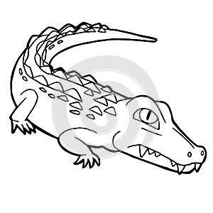 Cartoon cute crocodile coloring page vector