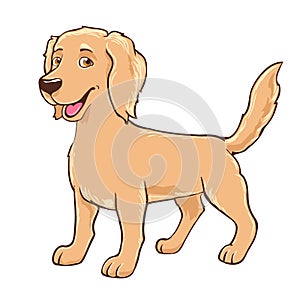 Cartoon cute dog, friendly golden retriever drawn vector illustration