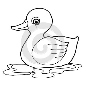 Cartoon cute duck coloring page vector