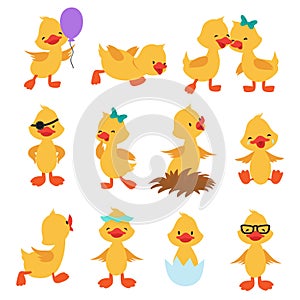 Cartoon cute ducks. Little baby yellow chick vector isolated characters