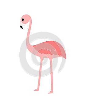 Cartoon cute flamingo kawaii. Vector illustration of tropical animal isolated on white