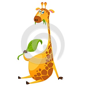 Cartoon cute giraffe chewing green leaf. Vector illustration isolated on white