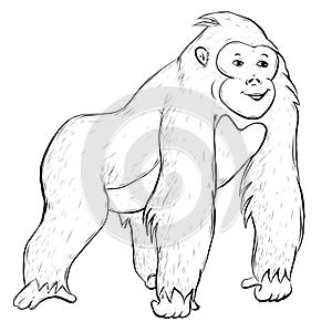 Cartoon of a cute gorilla sketch Illustration