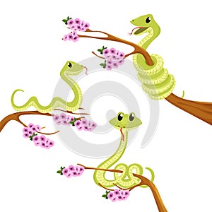 Cartoon cute green smiles snake vector animal illustration.