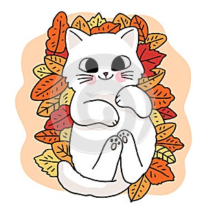 Cartoon cute hand draw cat lay down on meny leaves, Autumn vector. photo