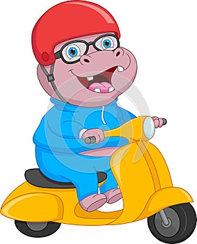 Cartoon cute hippo riding scooter