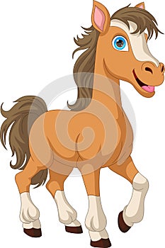 cartoon cute horse on white background