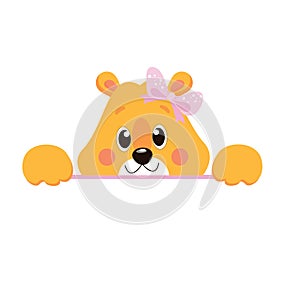 Cartoon Cute Little Animal Lion Vector Illustration