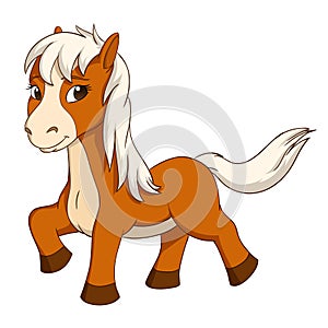 Cartoon cute little horse