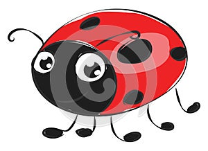 Cartoon cute little ladybird vector or color illustration