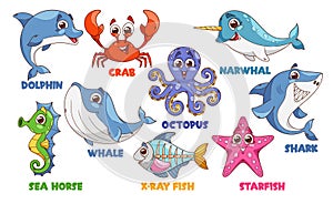 Cartoon Cute Marine Animal Characters. Dolphin, Crab, Octopus And Narwhal. Seahorse, Whale, Fish And Starfish, Shark