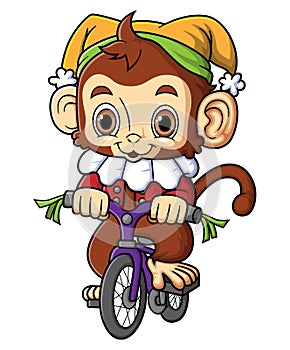 Cartoon cute monkey circus riding bicycle