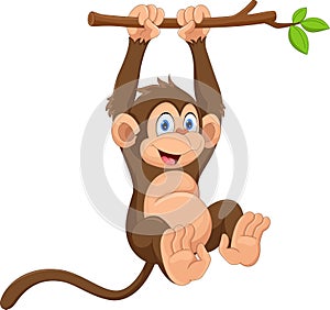 Cartoon cute monkey hanging on tree branch. Funny and adorable