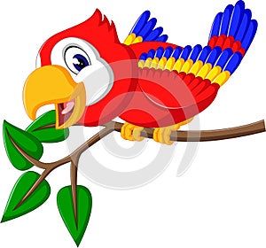 Cartoon cute parrot