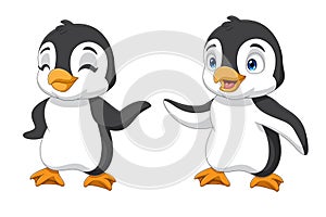 Cartoon cute penguin isolated on white background