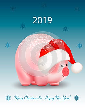 Cartoon cute piggy a chinese new year symbol on blue background with snowflakes. Santa Claus hat and greetings Merry Christmas and