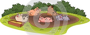 Cartoon cute pigs in the mudd. Funny happy pigs playing in the mudd.