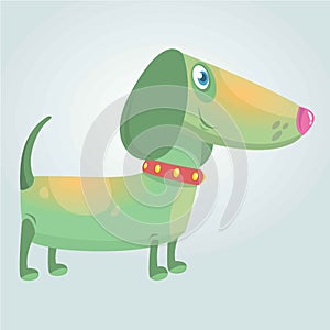 Cartoon Cute Purebred Dachshund Dog mascot. Vector Illustration isolated on white background.