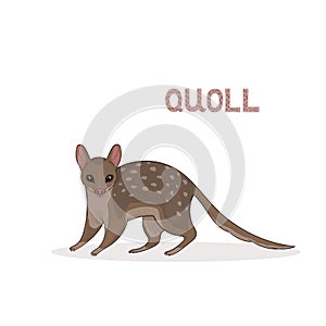 A cartoon cute quoll, isolated on a white background. Animal alphabet.