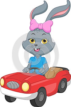 Cartoon cute rabbit driving a car