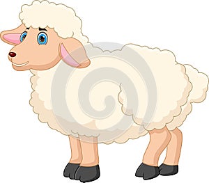 Cartoon cute sheep isolated on white background