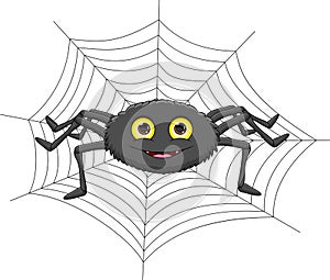 Cartoon cute spider on spider web