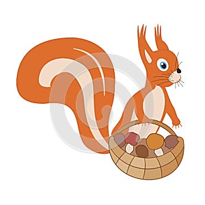 Cartoon cute squirrel holding a basket of mushrooms