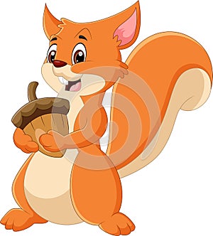 Cartoon cute squirrel holding nut