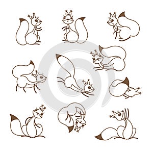 Cartoon cute squirrel. Little funny squirrels. Vector illustration