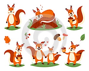 Cartoon cute squirrels. Little funny squirrels. Vector illustration on a white isolated background