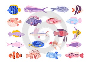 Cartoon cute tropical ocean exotic aquarium fishes. Goldfishes, tetra, barb, angelfish and lionfish. Small freshwater