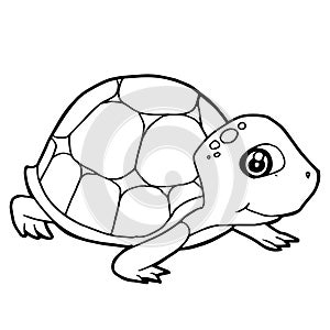 Cartoon cute turtle coloring page vector