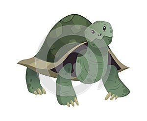 Cartoon cute turtle. Standing smiling happy snorkel tortoise, vector isolated tropical animal