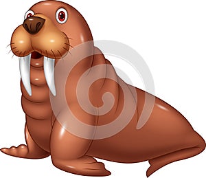 Cartoon cute walrus