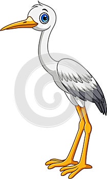 Cartoon cute white stork bird on white background