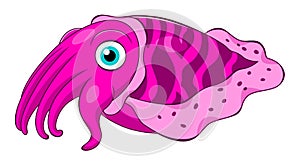 Cartoon cuttlefish